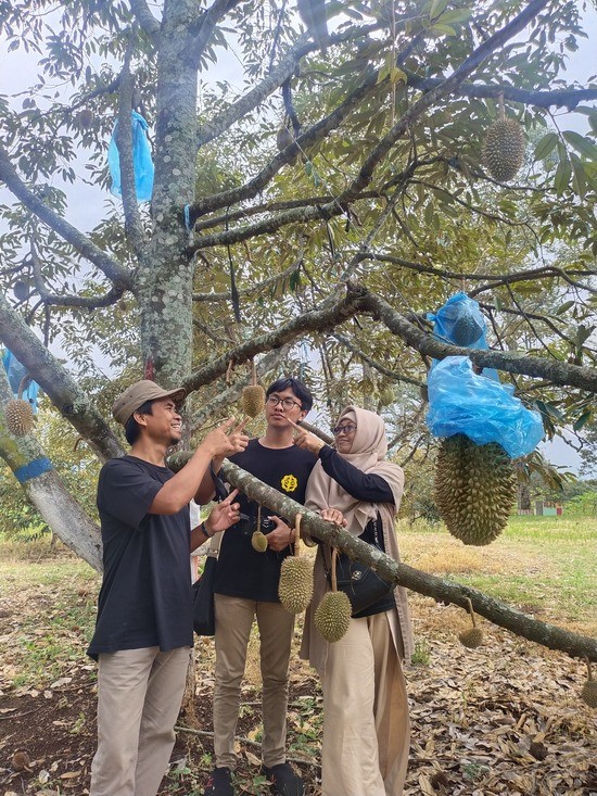 Pengembangan Agrowisata: Menjelajahi Keindahan Pertanian dan Mendukung Petani Lokal