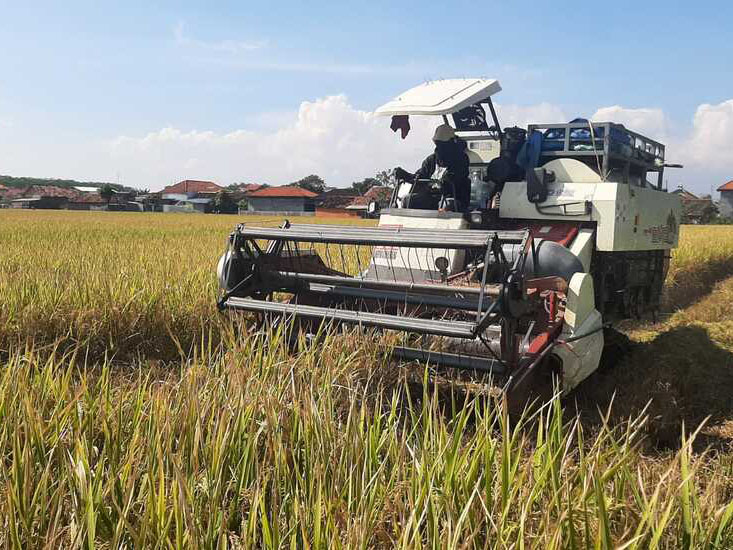 Menuju Industri Pertanian Modern: Transformasi untuk Meningkatkan Produktivitas