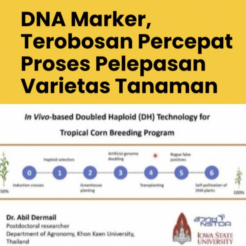 Meningkatkan Efisiensi Perlindungan dan Pendaftaran Varietas Tanaman melalui Teknologi DNA Marker