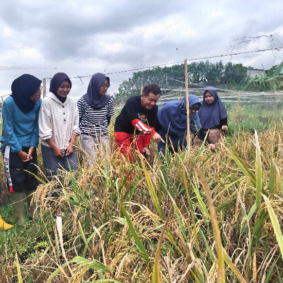 Kolaborasi dan Inovasi: Masa Depan Pertanian Indonesia