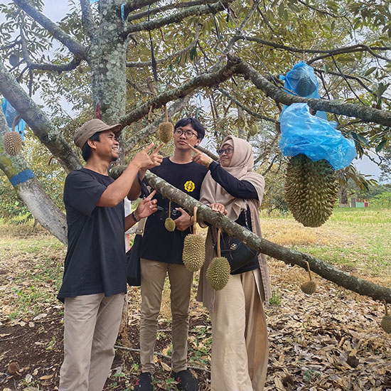 Agrowisata Durian
