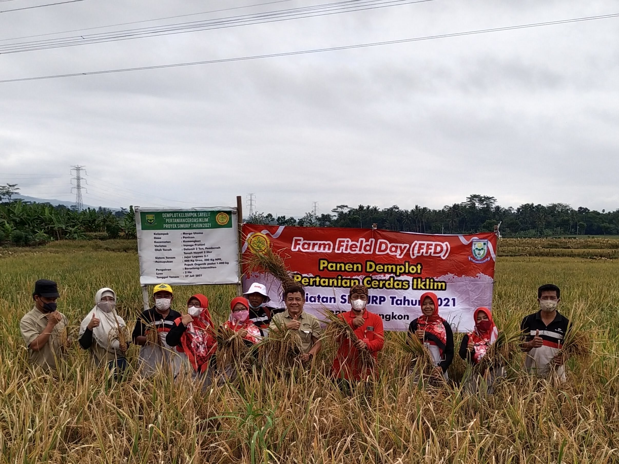 Tantangan petani mempertahankan produksi pangan dan ketidakpastian iklim