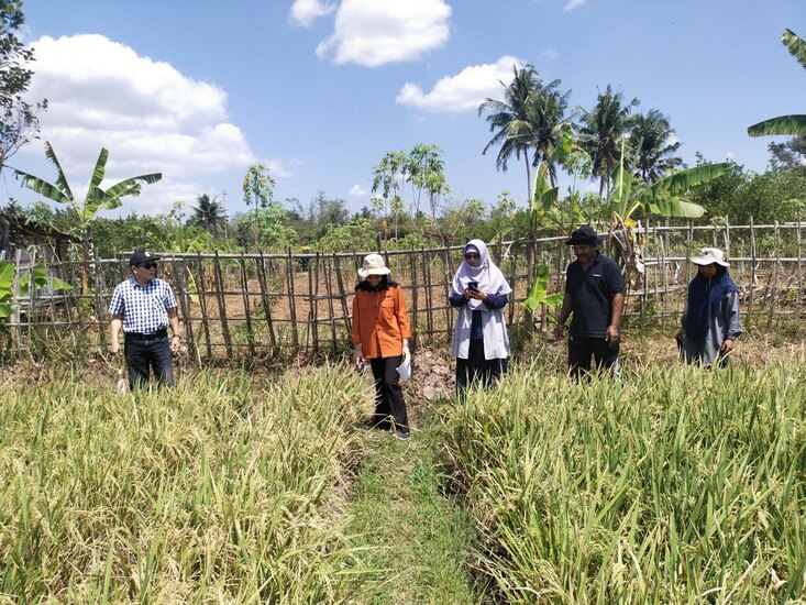 Meningkatkan Produksi Pertanian Melalui Pengelolaan Lahan Berkelanjutan