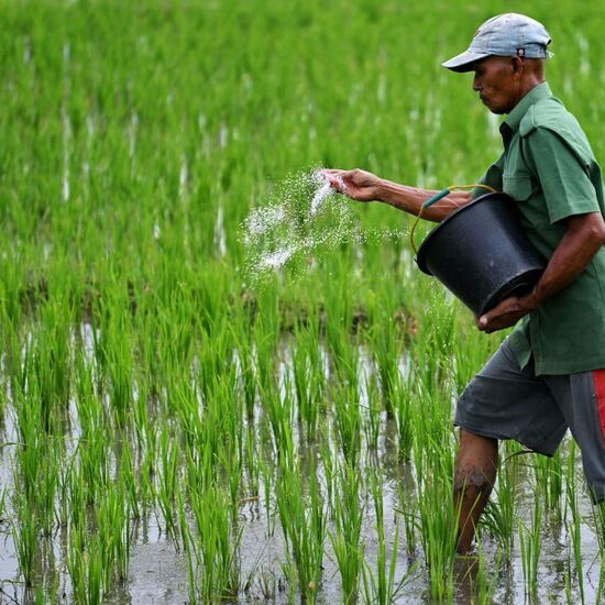 Strategi Mengoptimalkan Pemupukan pada Tanaman Pangan dan Hortikultura