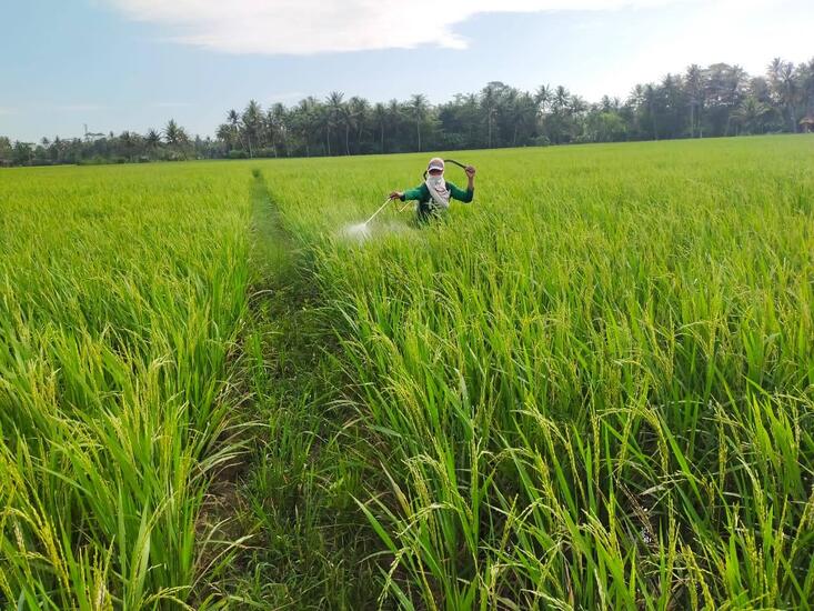 Konsultasi Manajemen Usaha Pertanian: Membimbing Anda Menuju Kesuksesan Bisnis Pertanian